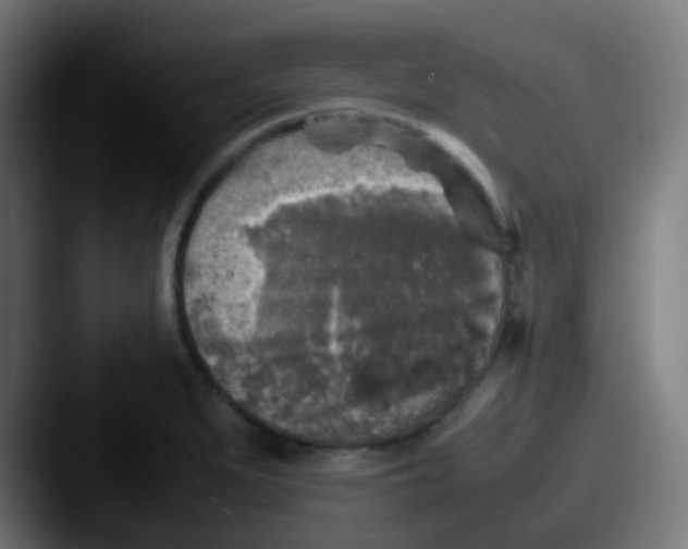 X0000087621279200705181306