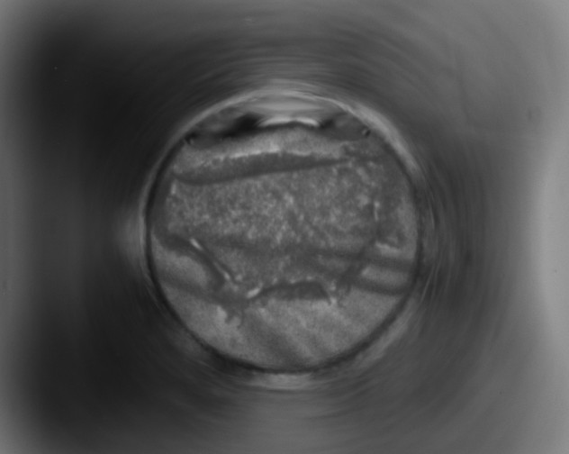 X0000087621280200705181306