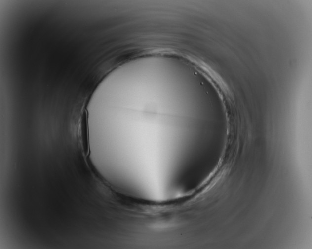 X0000087621281200705181306