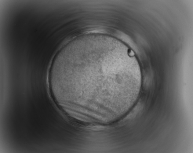 X0000087621282200705181306