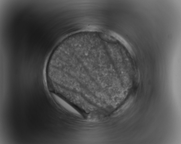 X0000087621283200705181306