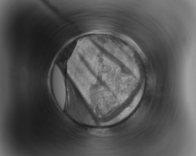 X0000087621284200705181306