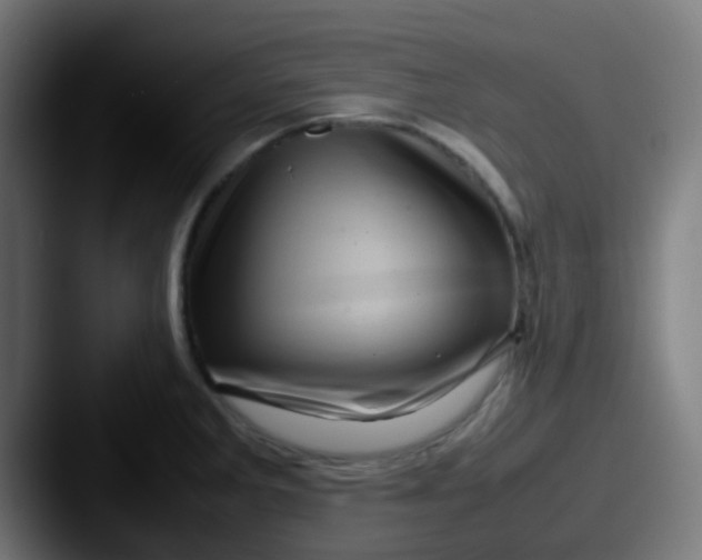 X0000087621285200705181306
