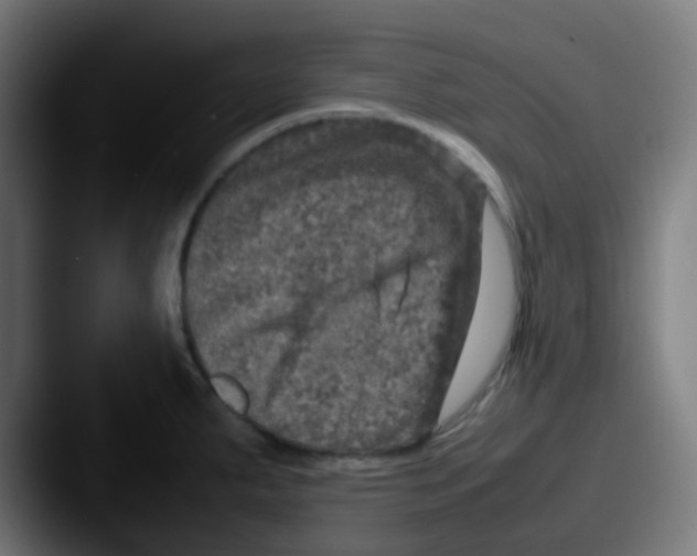 X0000087621287200705181306