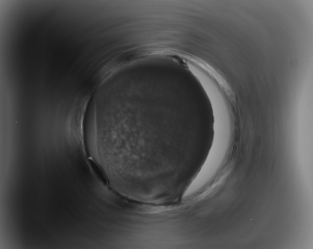 X0000087621289200705181306