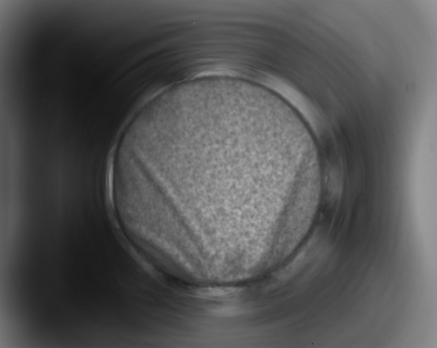 X0000087621290200705181306