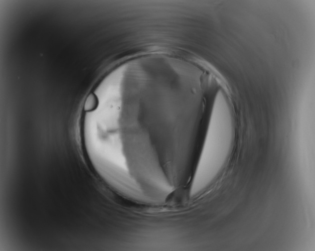 X0000087621291200705181306