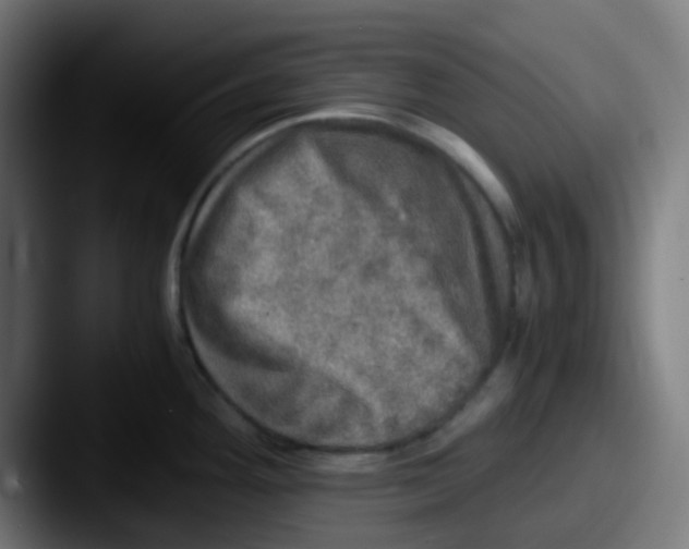 X0000087621292200705181306