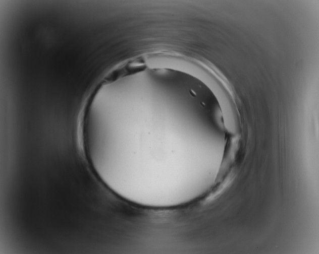 X0000087621293200705181306