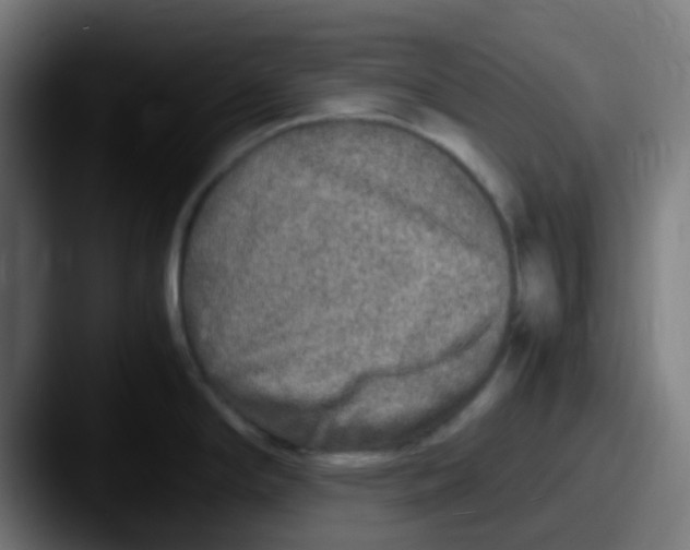 X0000087621294200705181306