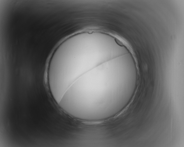 X0000087621296200705181306