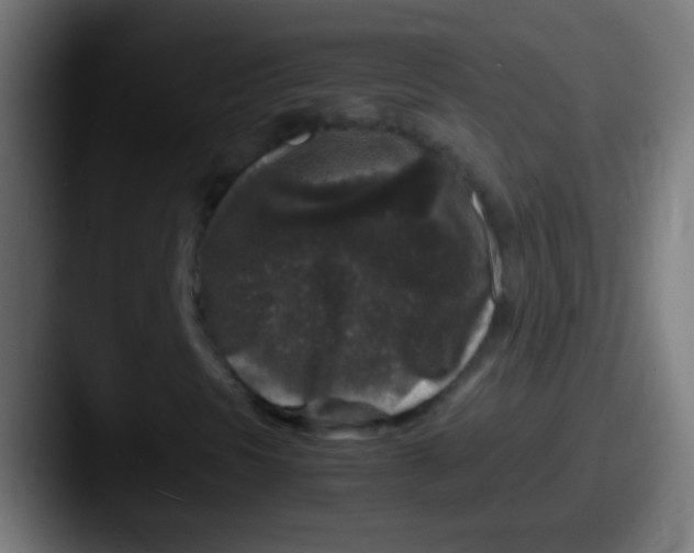 X0000087621297200705181306
