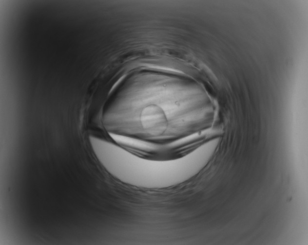 X0000087621298200705181306