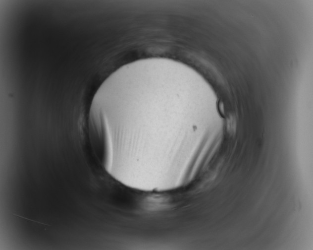 X0000087621299200705181306