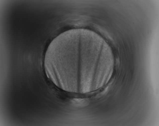 X0000087621300200705181306