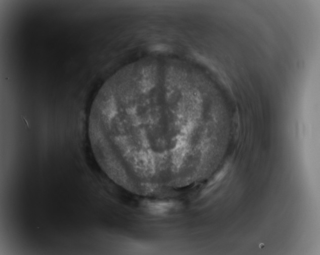 X0000087621301200705181306