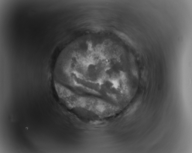 X0000087621302200705181306