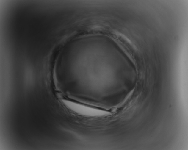X0000087621303200705181306