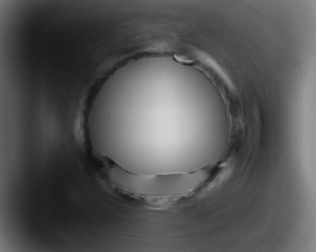 X0000087621304200705181306