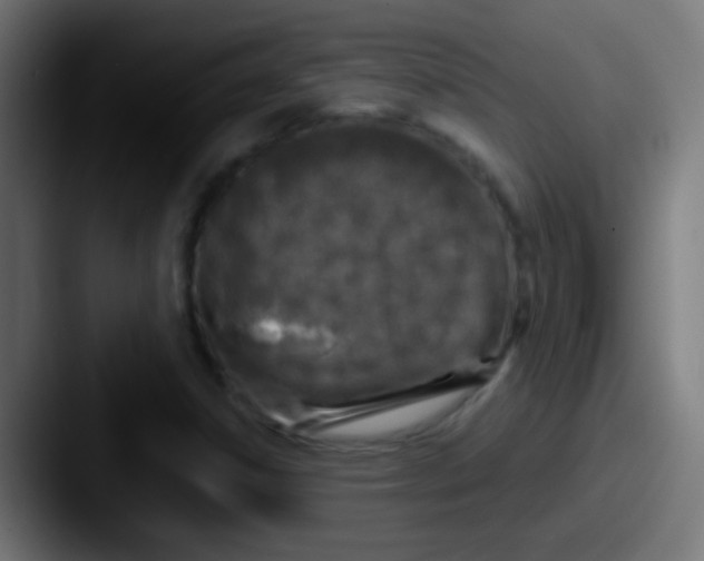 X0000087621306200705181306