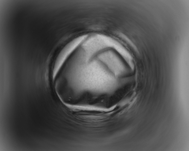 X0000087621307200705181306