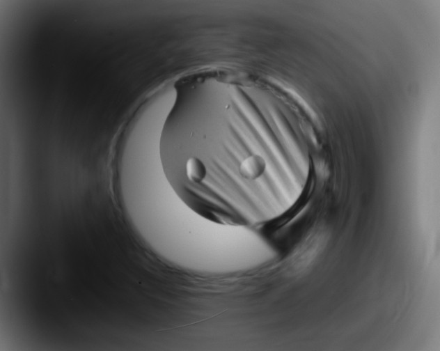 X0000087621308200705181306