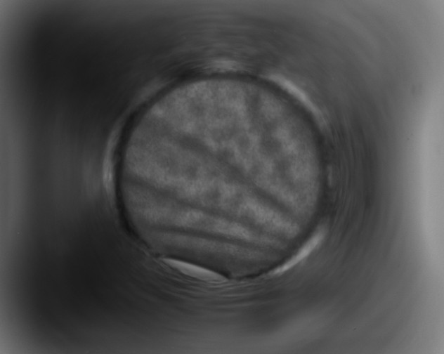 X0000087621309200705181306