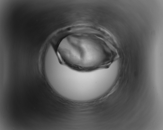 X0000087621310200705181306