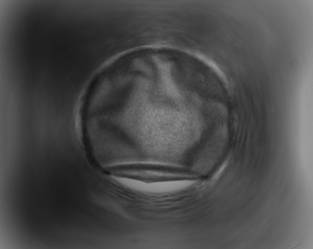 X0000087621311200705181306