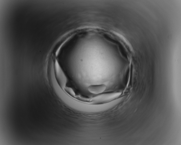 X0000087621312200705181306