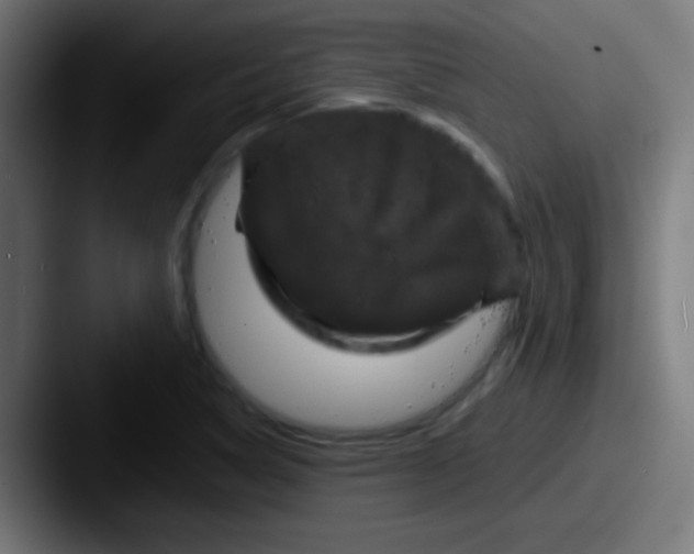 X0000087621314200705181306