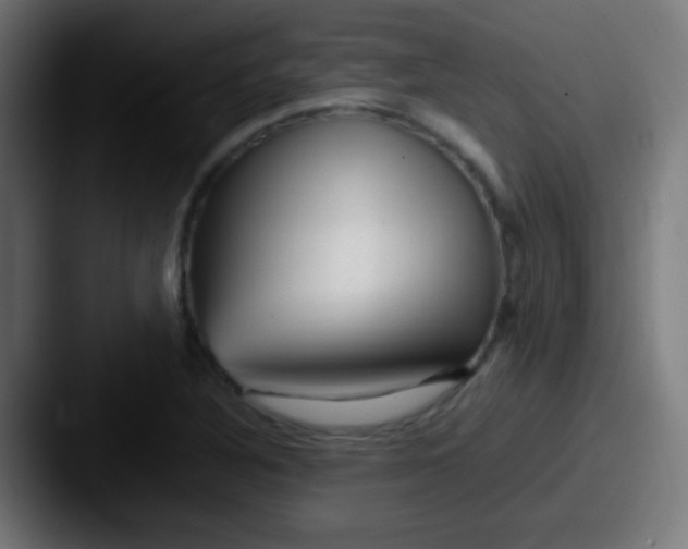 X0000087621316200705181306