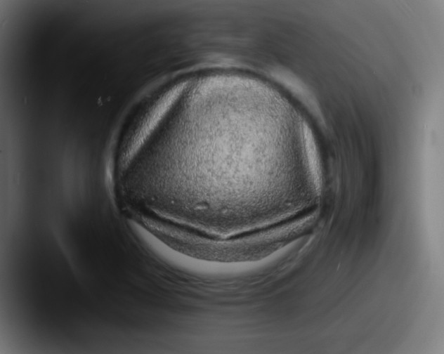 X0000087621318200705181306