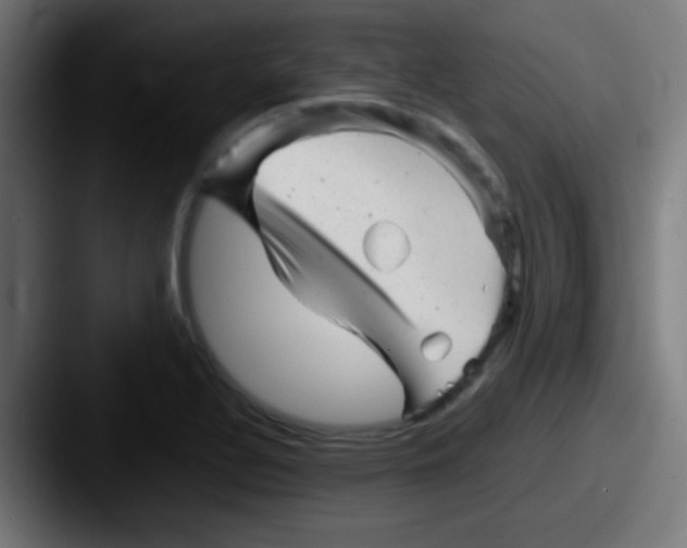 X0000087621320200705181306