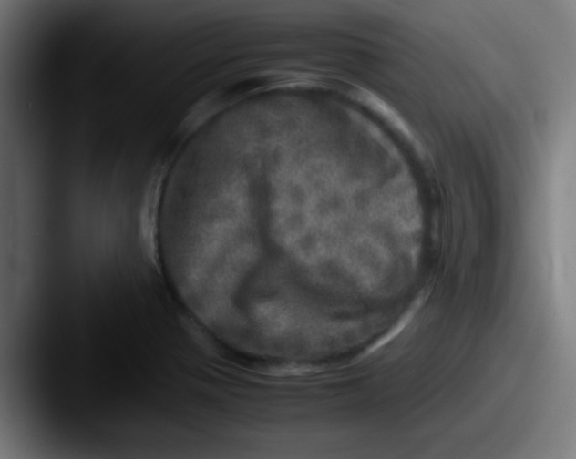X0000087621321200705181306