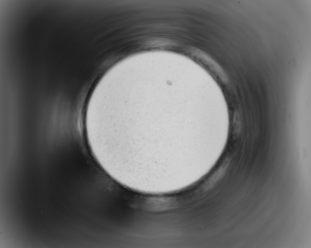 X0000087621322200705181306