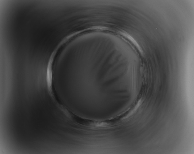 X0000087621323200705181306
