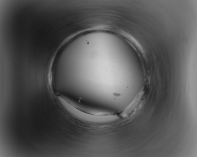 X0000087621324200705181306