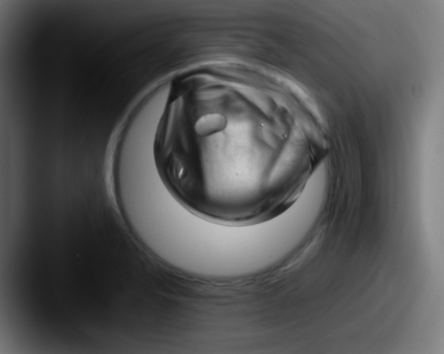X0000087621326200705181306