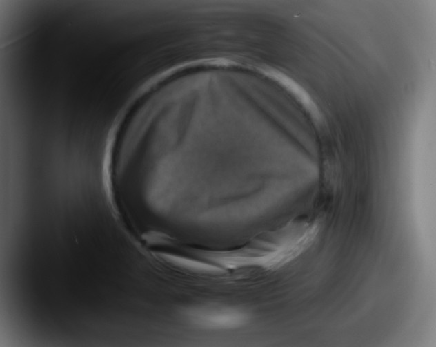 X0000087621327200705181306