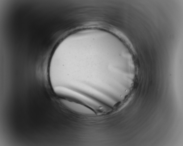 X0000087621328200705181306