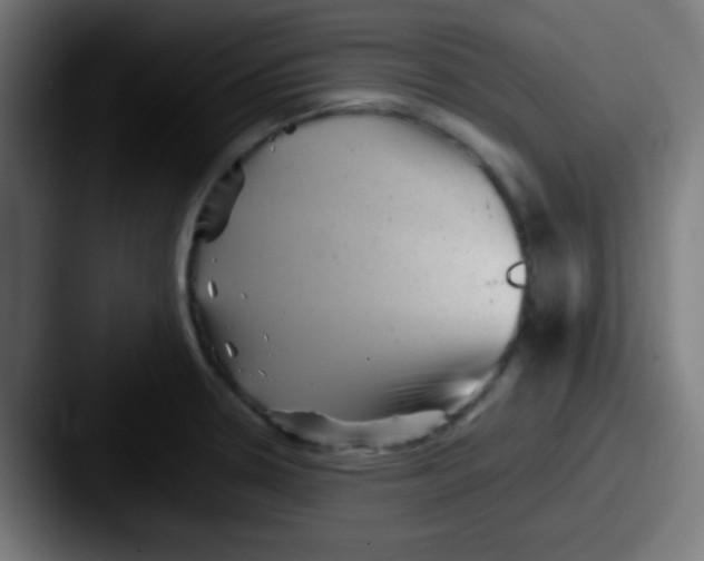 X0000087621330200705181306