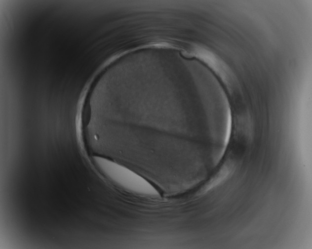 X0000087621331200705181306