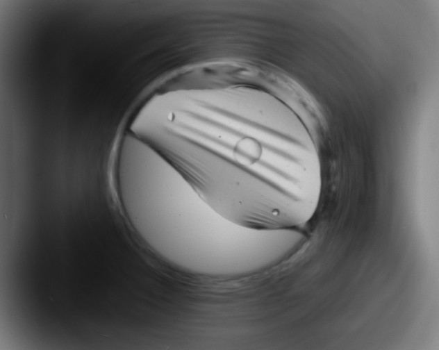 X0000087621332200705181306