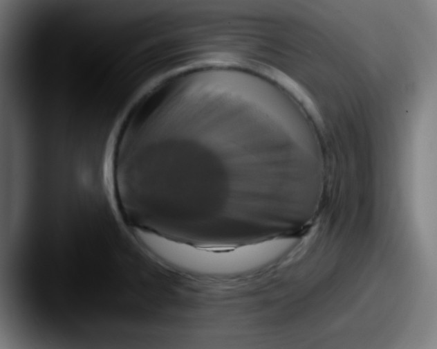 X0000087621334200705181306