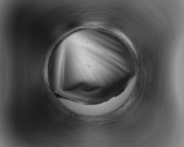 X0000087621336200705181306