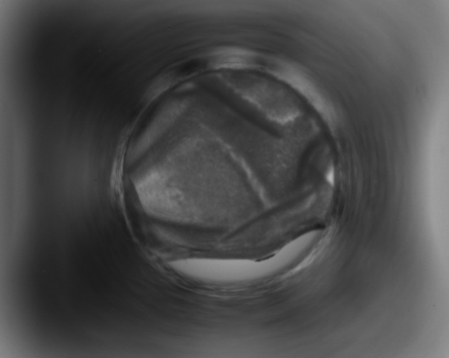 X0000087621337200705181306