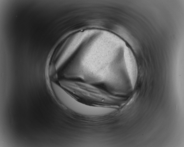 X0000087621339200705181306