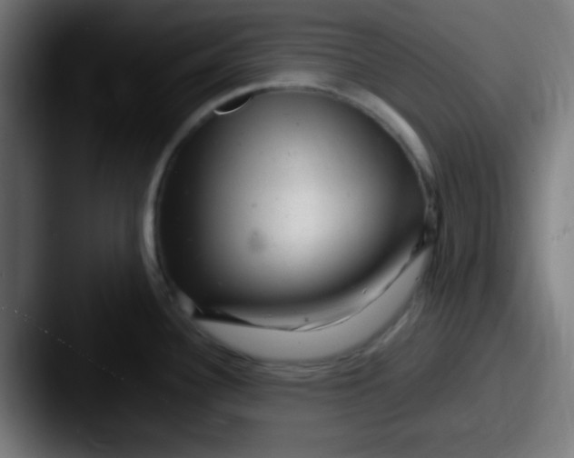 X0000087621340200705181306