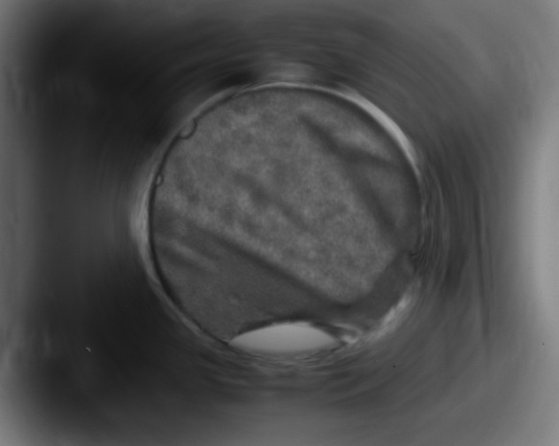 X0000087621341200705181306